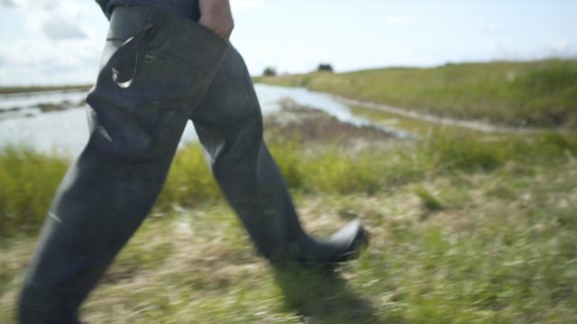 phoniclips-studio-video-a-la-decouverte-des-lagunes-000