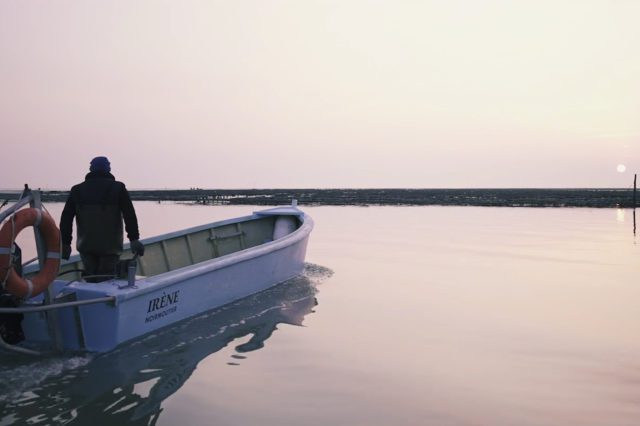 Huitre-de-noirmoutier-film-004