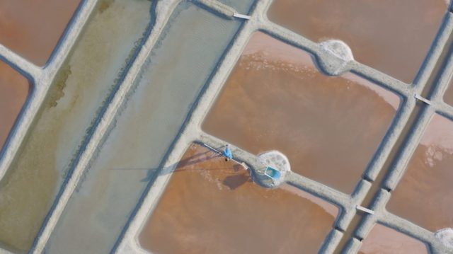 Fleur-de-Sel-de-l’Atlantique-005