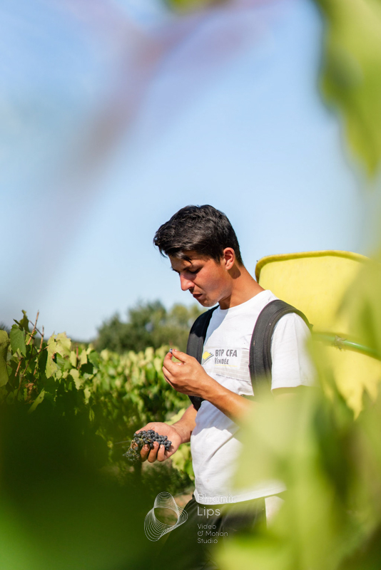 Vignoble Mourat – Vendanges 2023-11